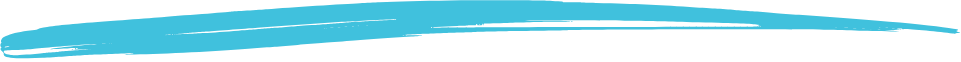 Underline-Blue-Website-Graphic-VIP-Beach-Homes.png
